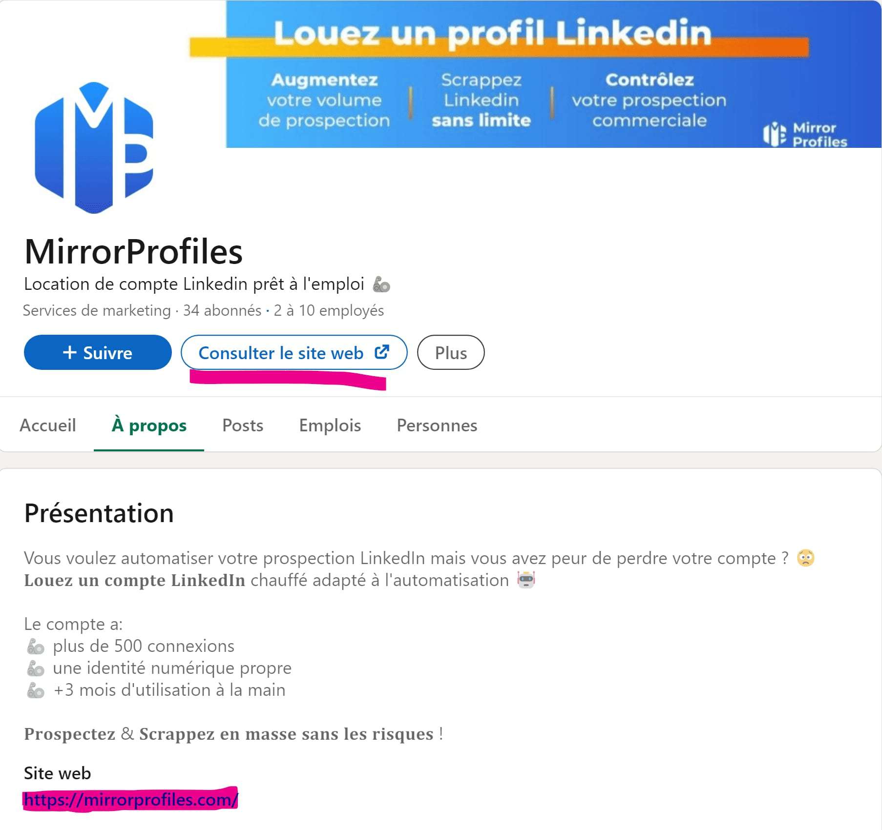 Page linkedIn MirrorProfiles