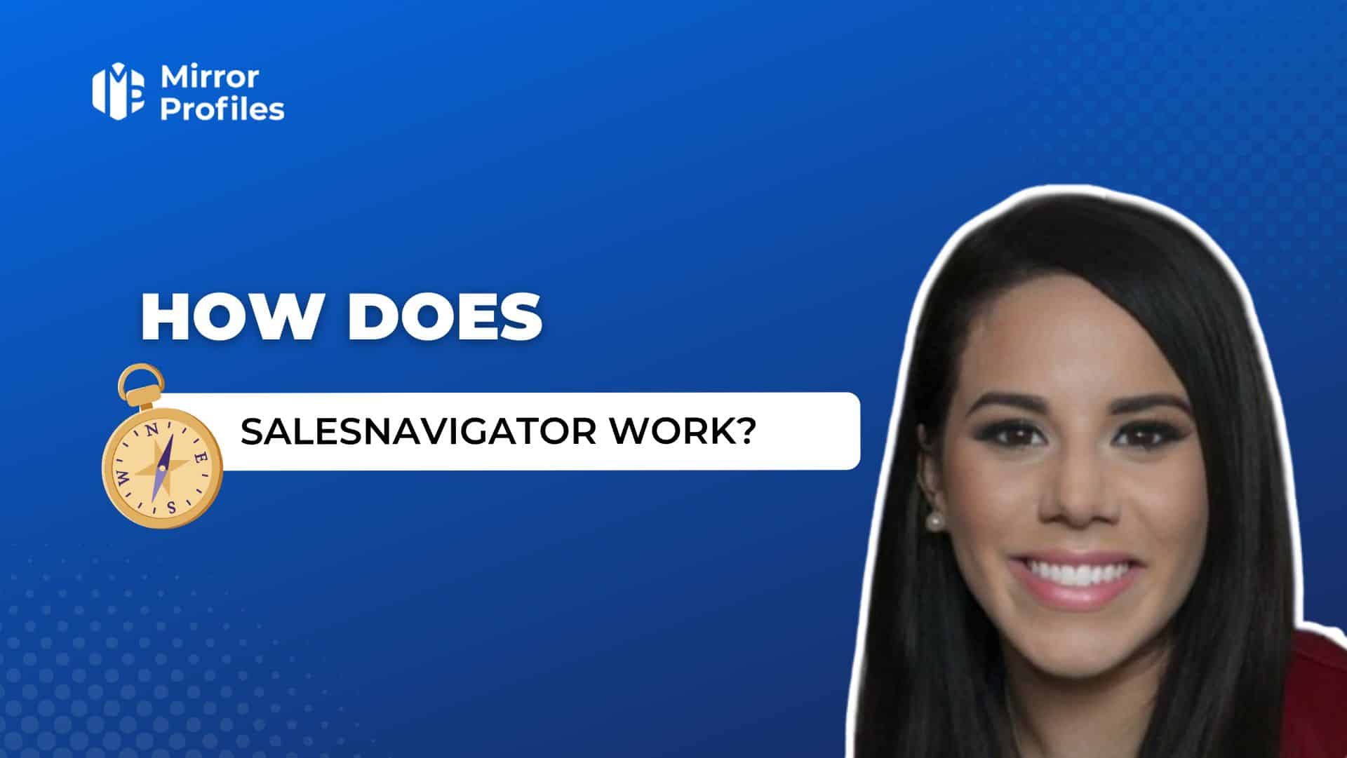 How does salesnavigator work?