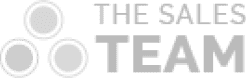 Logo composé de trois cercles gris et des mots "THE SALES TEAM" en gris, avec "TEAM" en lettres capitales grasses.